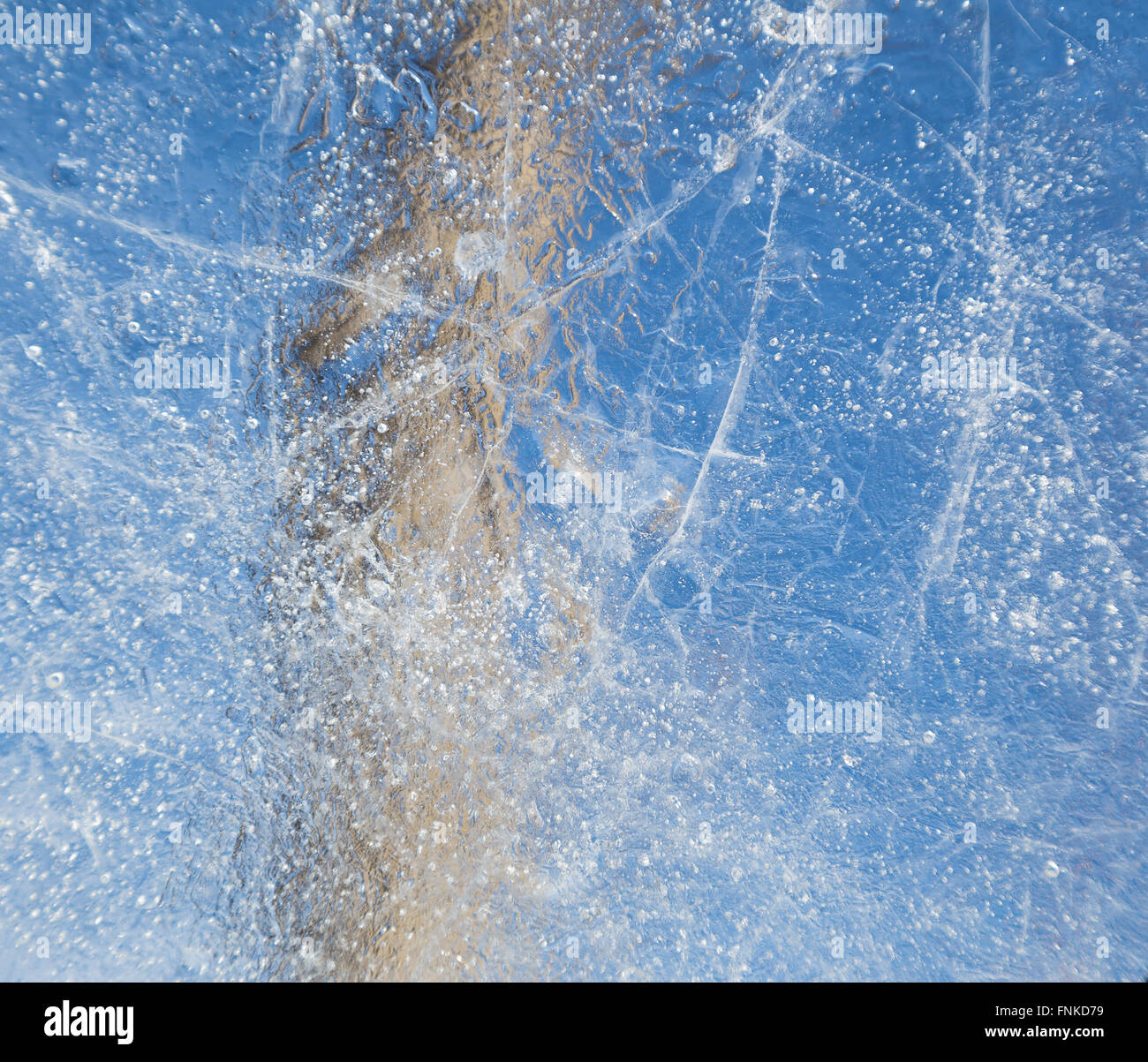 Il cielo e la struttura ad albero, attraverso un sottile, trasparente pezzo di ghiaccio Foto Stock