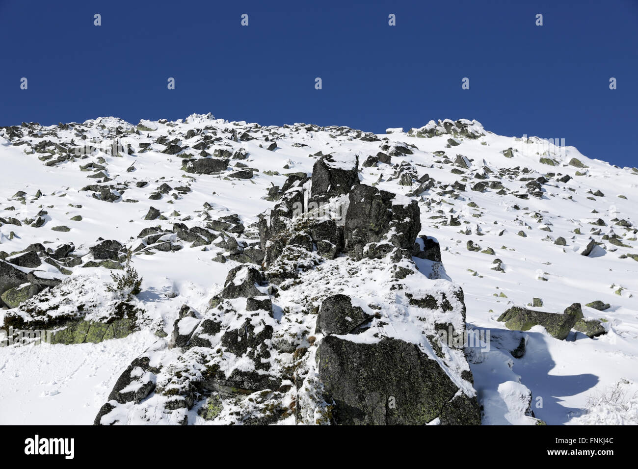 Un picco roccioso del Monte Vitosha coperte di neve. Vista contro il pulito cielo blu. Foto Stock