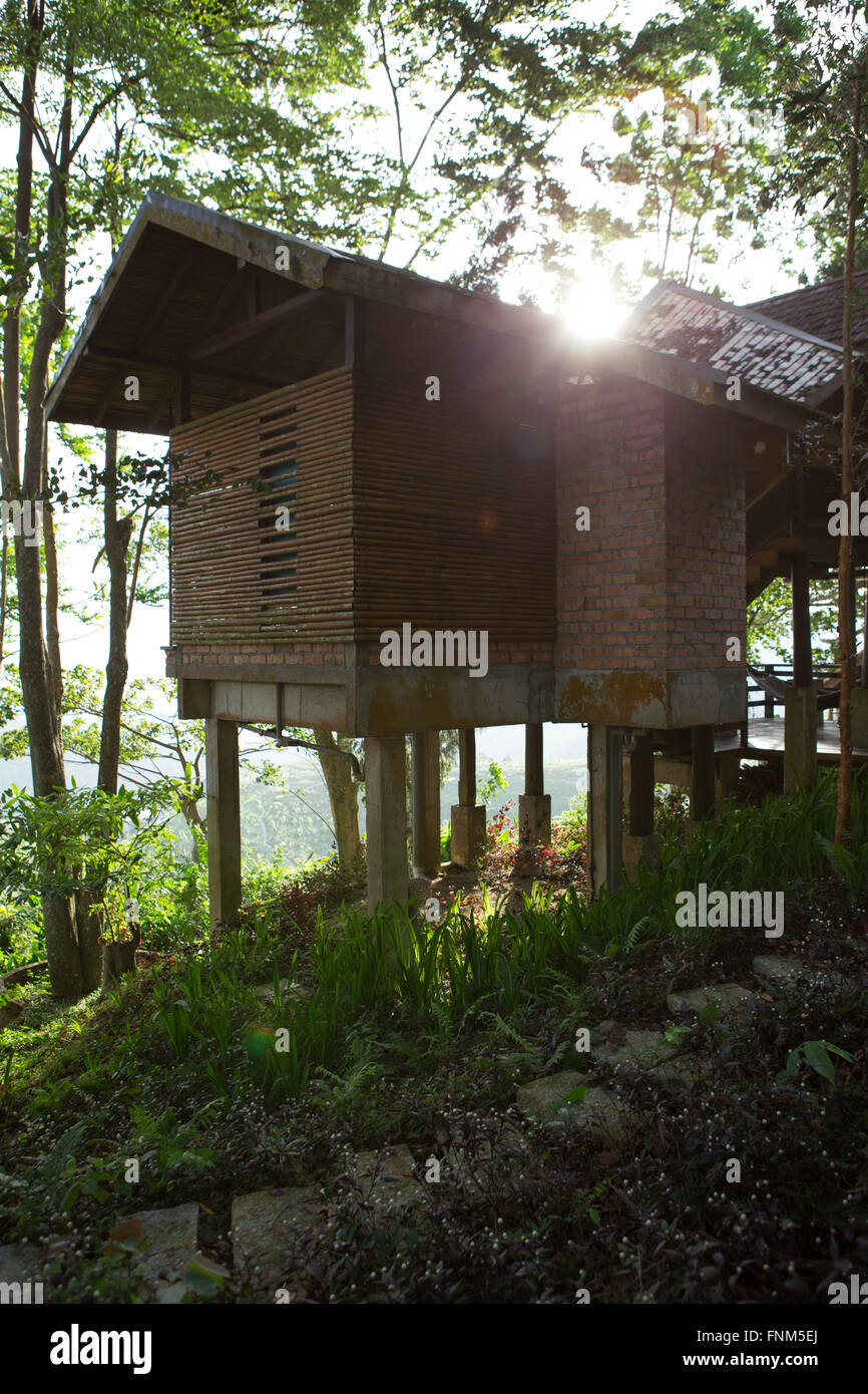 Verticale di un ampio angolo di visione del sole di mattina su bungalow in legno su palafitte in eco-resort/boutique hotel nel cuore della giungla di Penang, Malaysia Foto Stock