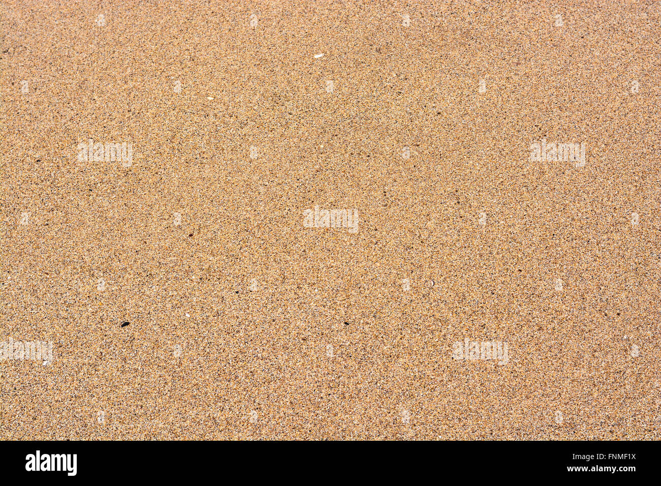 Seamless premuto il pannello in legno o strand board sfondo OSB Foto Stock