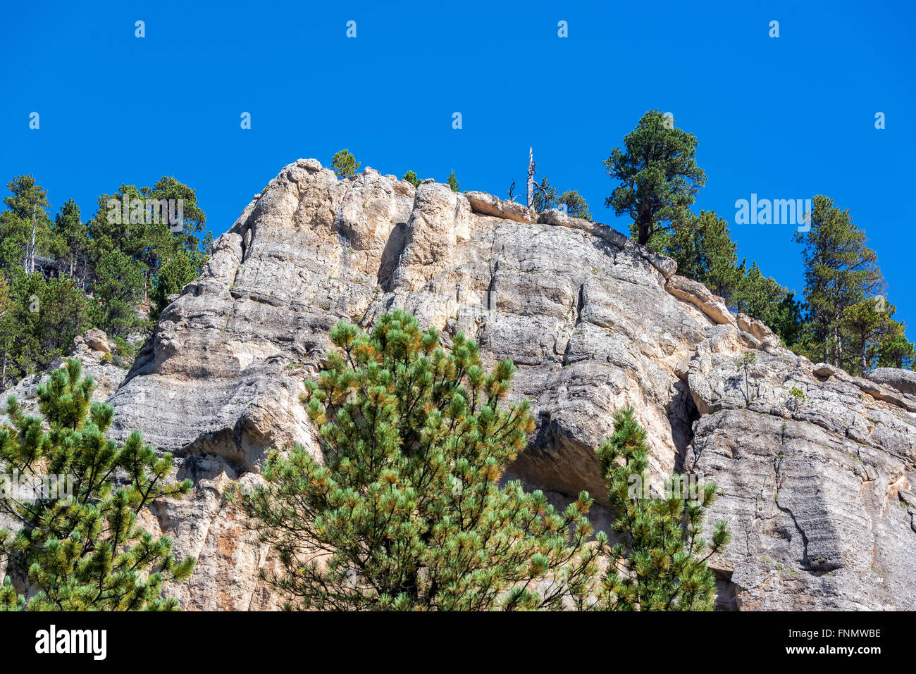 Scogliera vista in Sud Piney Canyon nei pressi di storia, Wyoming Foto Stock