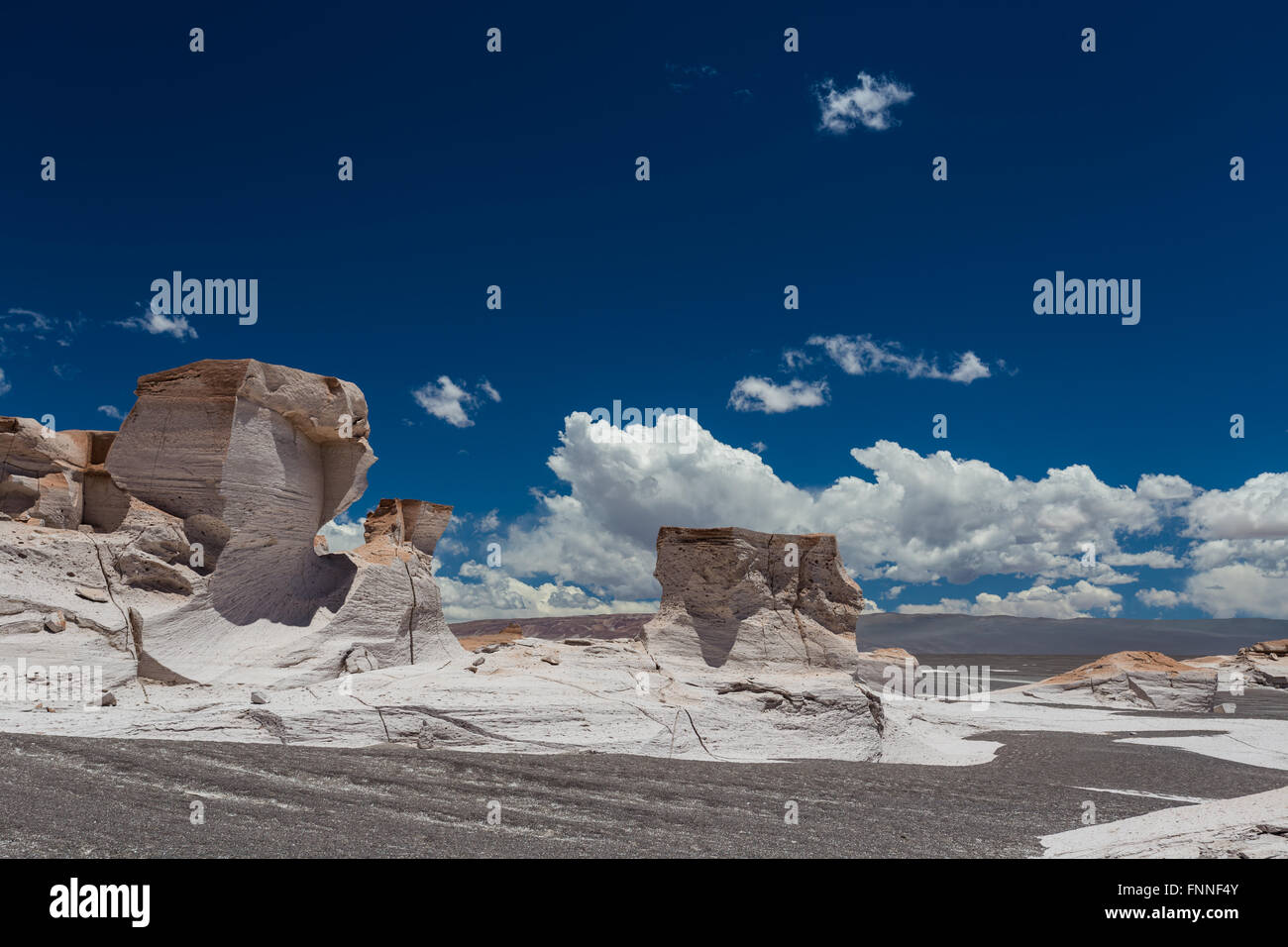 Pietra pomice in campo il argentinan puna Foto Stock