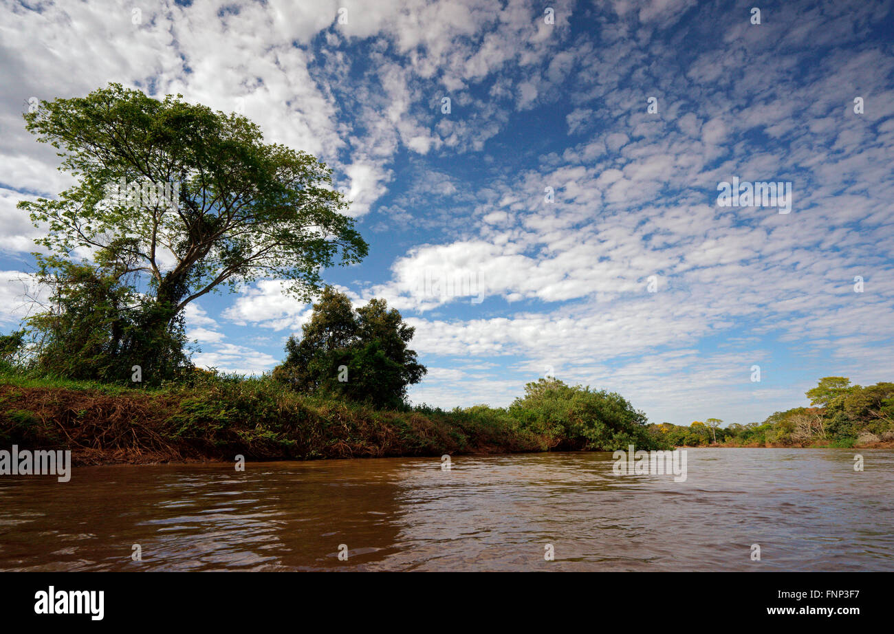 Pantanal Riverscape, Mato Grosso do Sul, Brasile Foto Stock