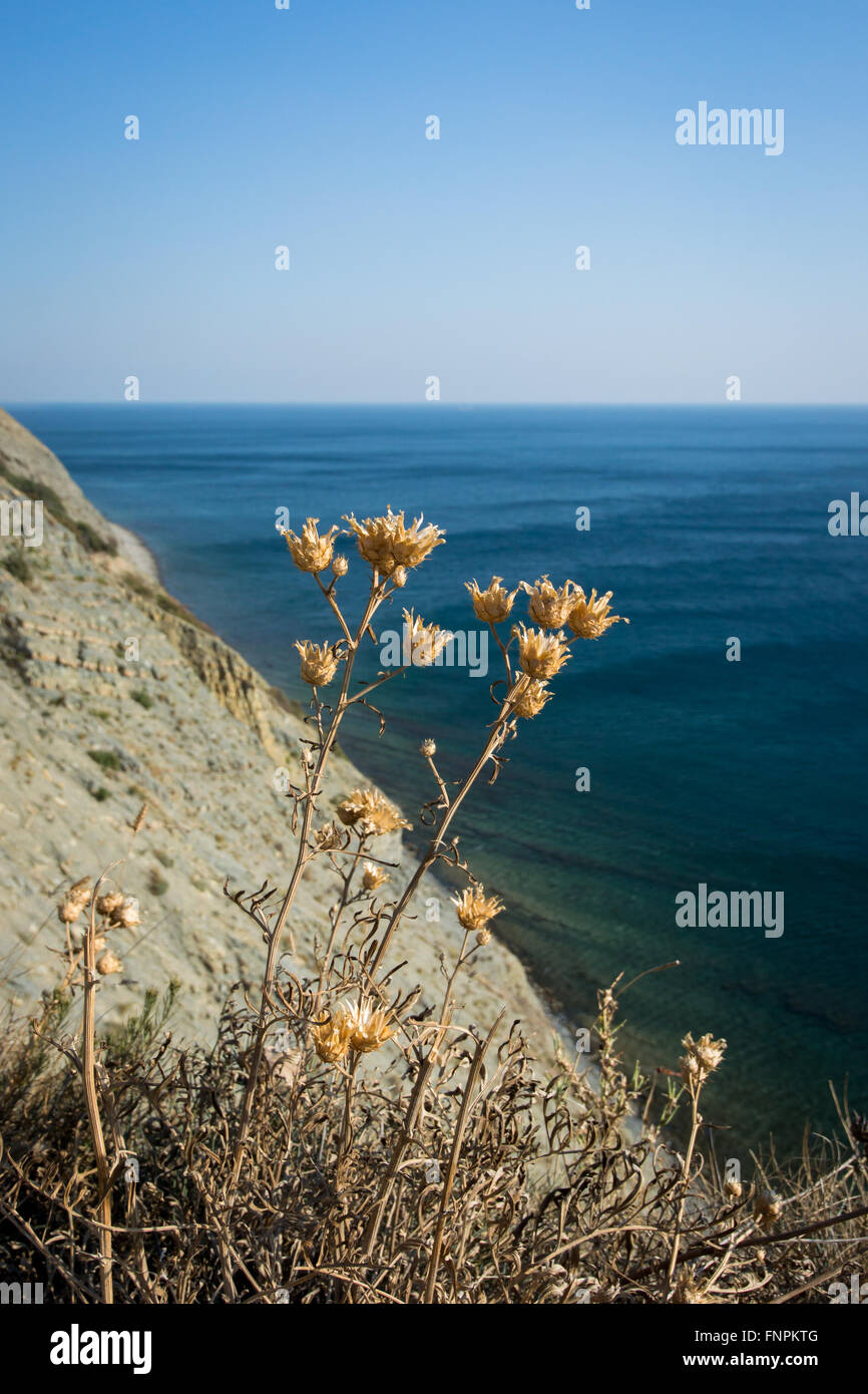 Splendide vedute del Mar Nero. Il Villaggio Durso. Foto Stock