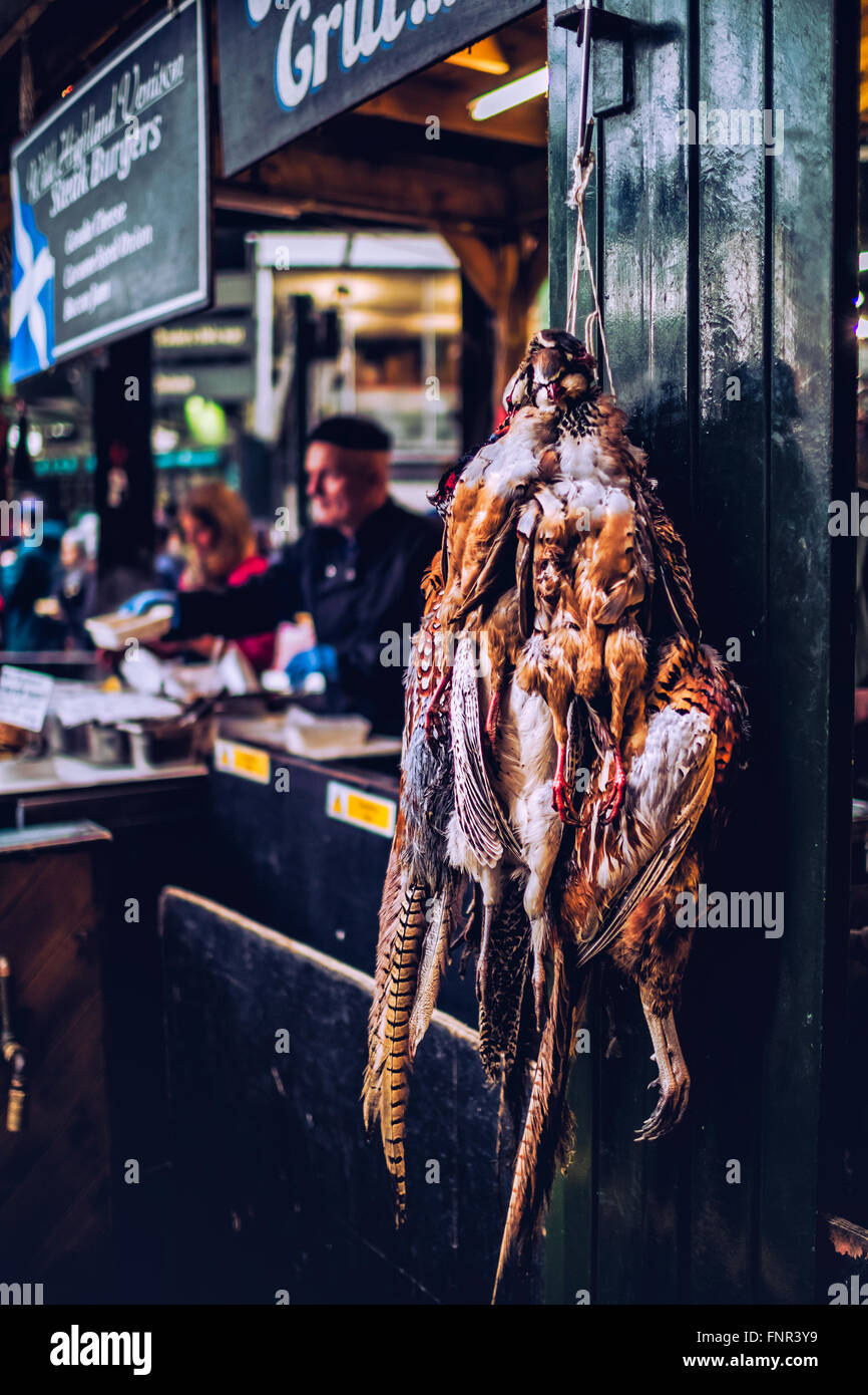 Uccelli morti appesi a Borough Market Foto Stock Uccelli morti appesi a Borough Market Foto Stock