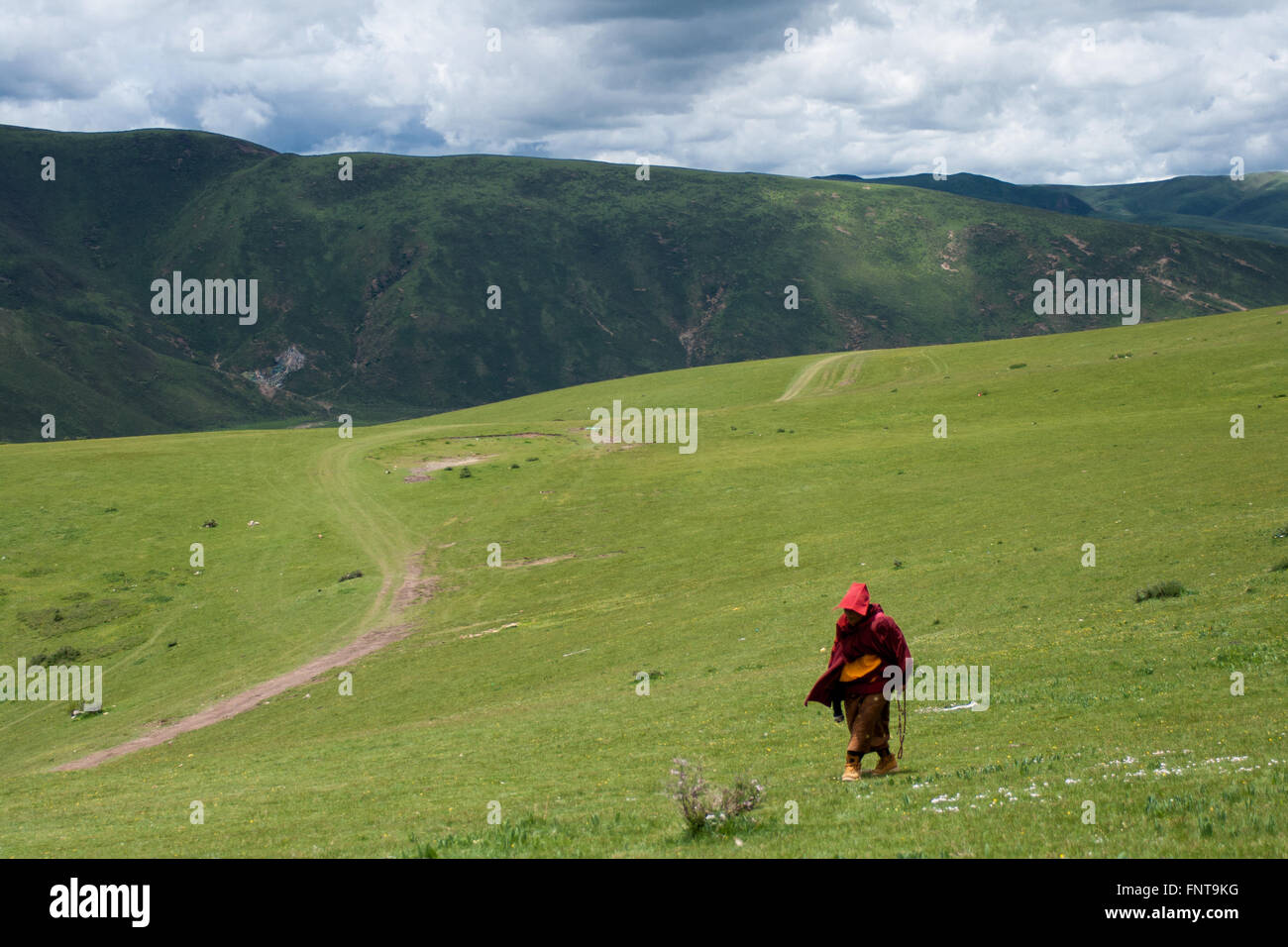 Un monaco, passeggiate in montagna in Tibet Foto Stock