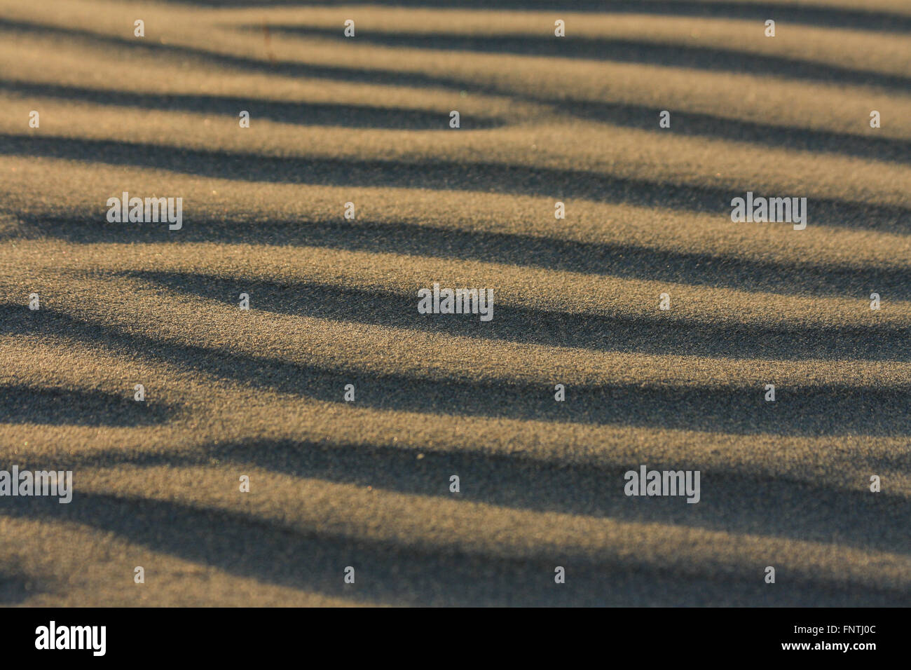 Close up di vento spazzata di sabbia a Long Beach, Tofino, BC Foto Stock