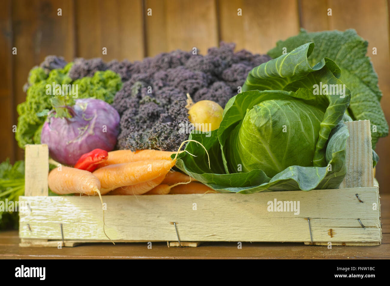 Freschi di mercato Organici ortaggi - verde Cavolo cappuccio appuntito, viola e verde cavolo riccio, patate, carote, viola il cavolo rapa su legno Foto Stock