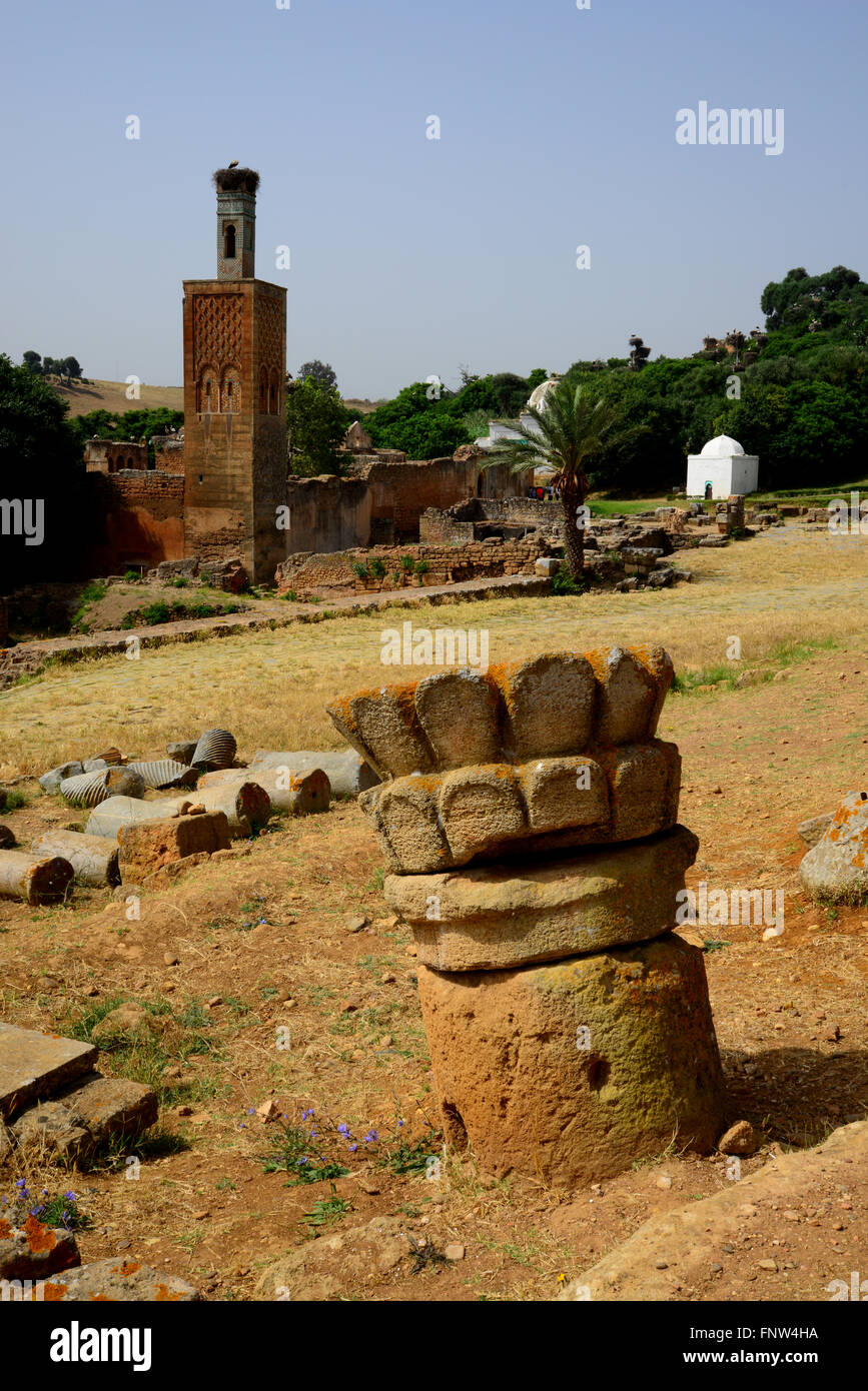 Il Marocco, Rabat, Chellah Foto Stock