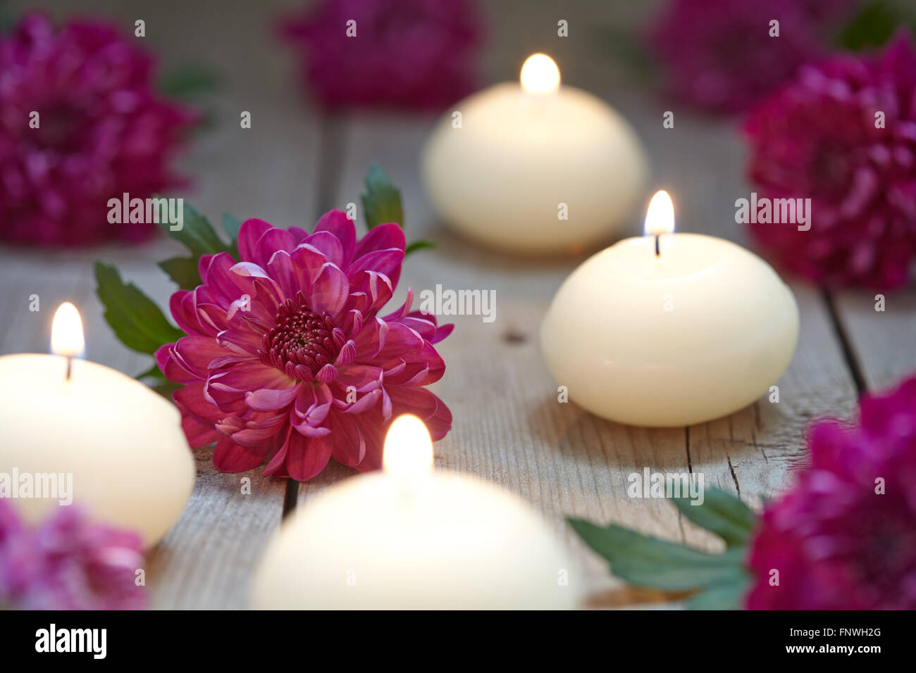 Tema Spa con candele e fiori Foto Stock