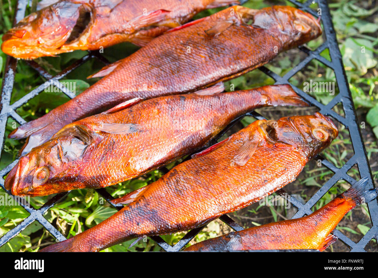 Cotto affumicato caldo il pesce fresco Foto Stock