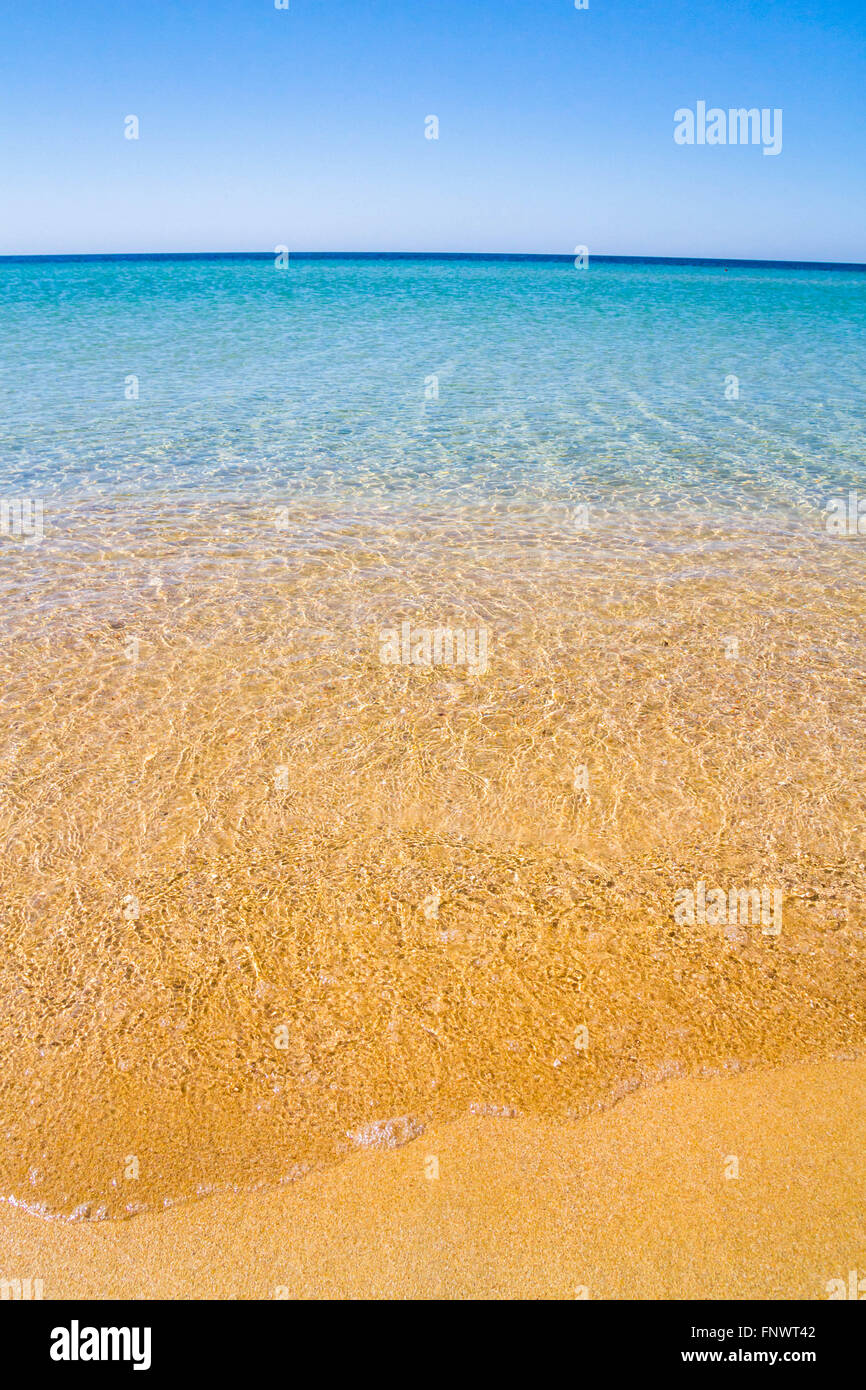 La spiaggia del Mar Nero in Crimea in estate Foto Stock