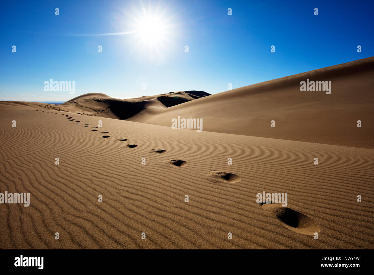 Sole brillante su orme in remoto di dune di sabbia del deserto, Great Sand Dunes National Park, COLORADO, Stati Uniti d'America. Foto Stock