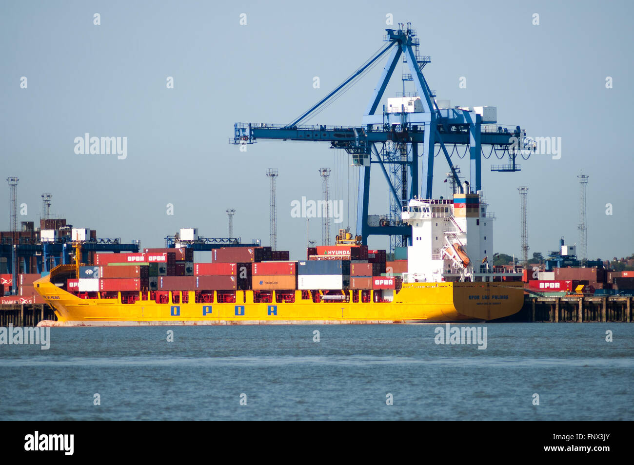 Contenitore nave al terminal di container nel porto di Felixstowe, Suffolk, Inghilterra, Regno Unito Foto Stock