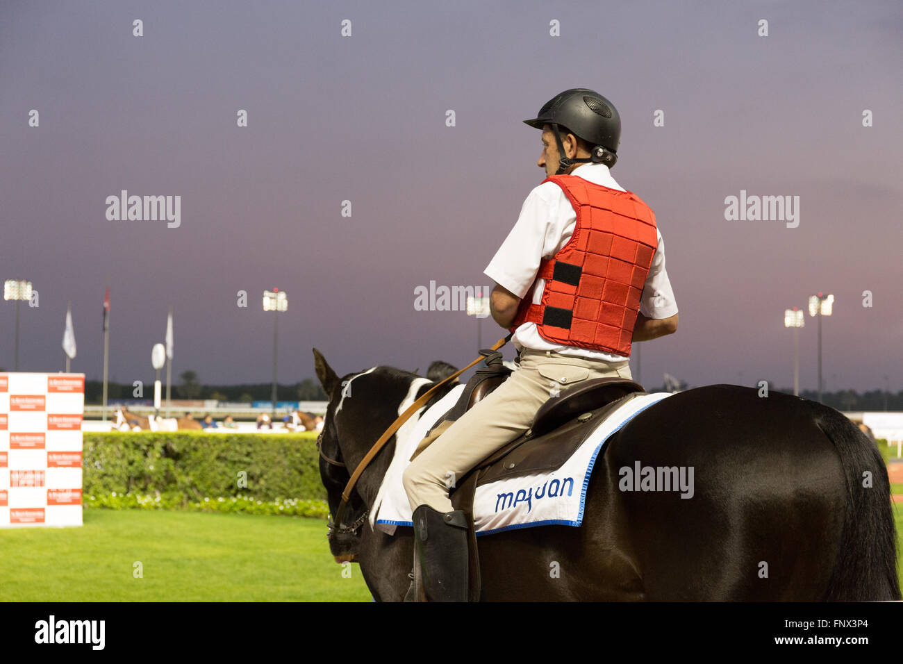 Il paddock a The Meydan Racecourse, Dubai Foto Stock