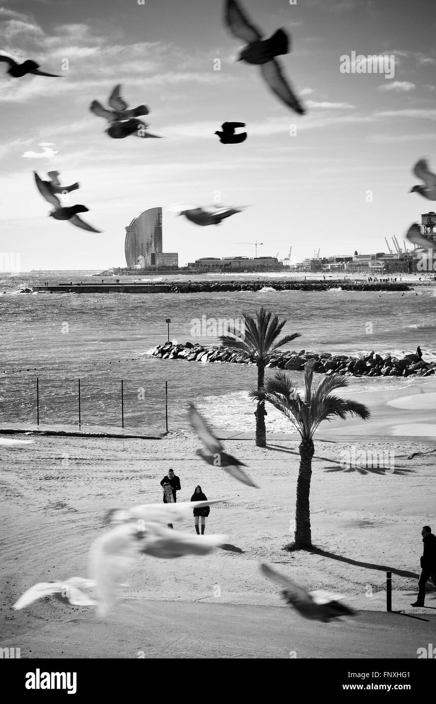 Spiaggia di Barceloneta. Barcellona, in Catalogna, Spagna. Foto Stock
