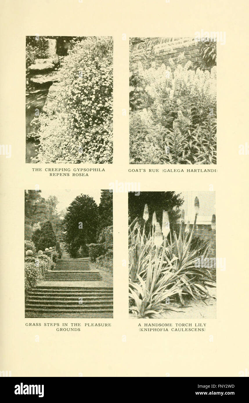 Questo libro offre una guida illustrata ai fiori duri, fornendo dettagli sulle specie che prosperano in vari climi e condizioni di crescita. Foto Stock