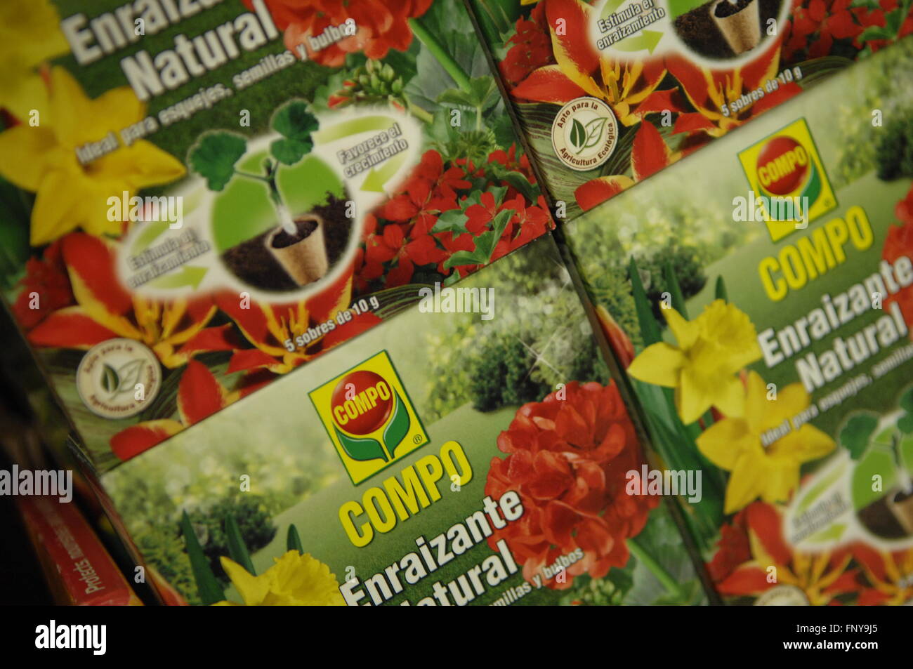 Close up Compo Prodotti da giardino sul display in un negozio. Foto Stock