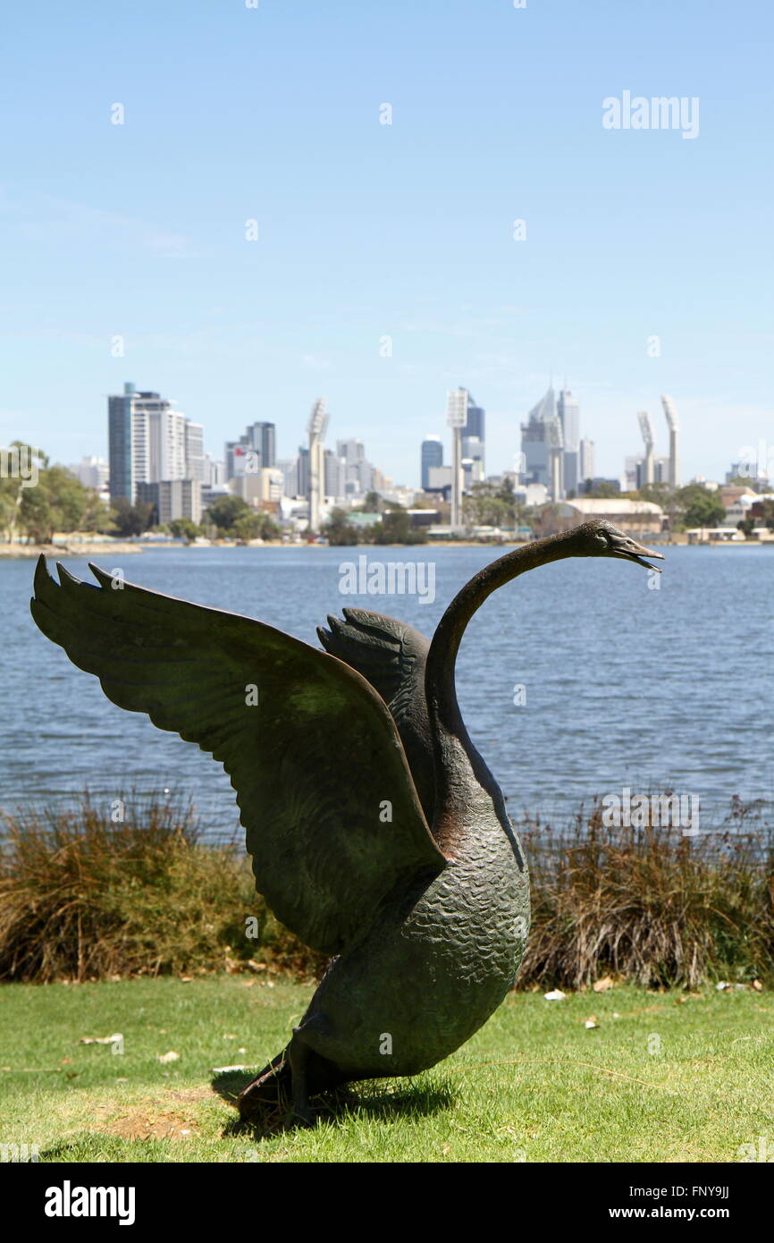 Statua del cigno sulle rive del fiume Swan Perth Western Australia Foto Stock