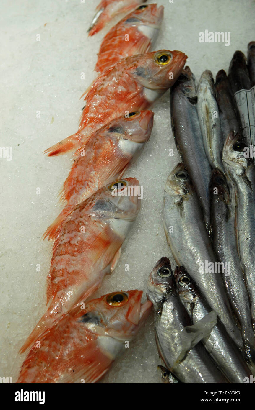 Pesce fresco visualizzato in un supermercato Carrefour a Malaga Spagna. Foto Stock