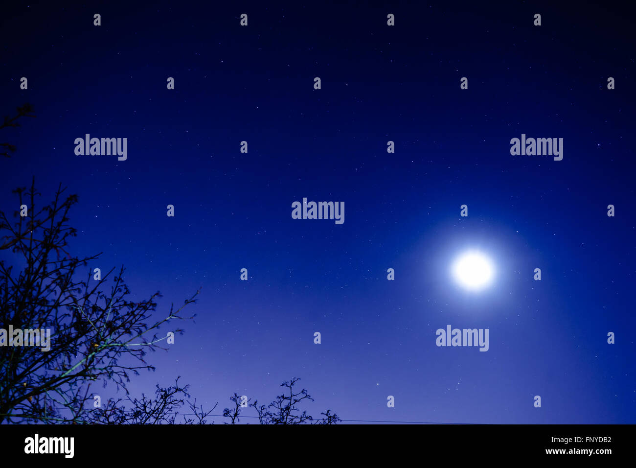 Il cielo stellato e la luna. Vista dalla mia finestra. Luna e polvere di stelle nel cielo. Foto Stock