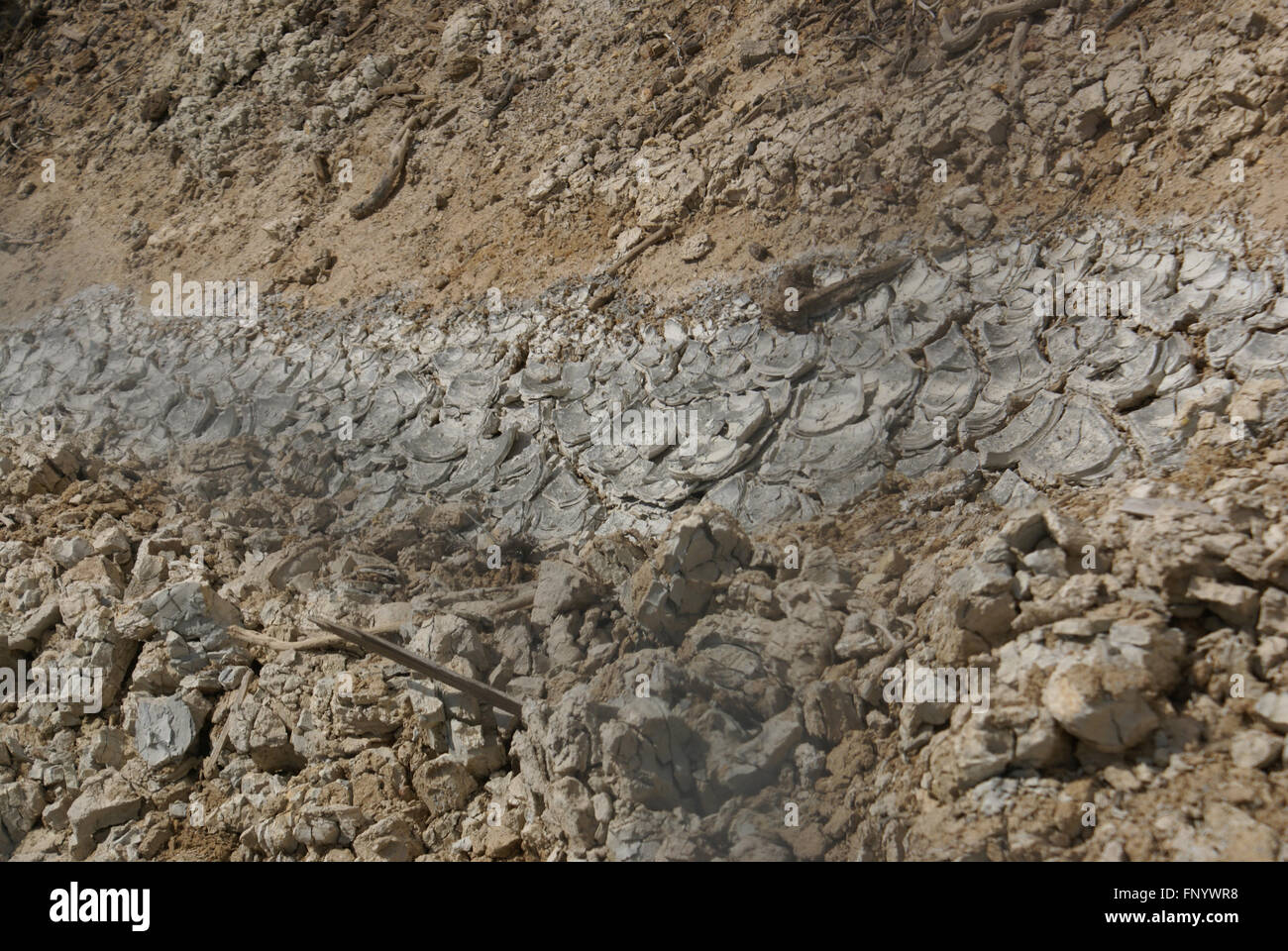 Opere di zolfo nel Parco Nazionale vulcanico di Lassen, California, Stati Uniti d'America , con fragore fumarole, fango bollente, piscine e vapore Foto Stock