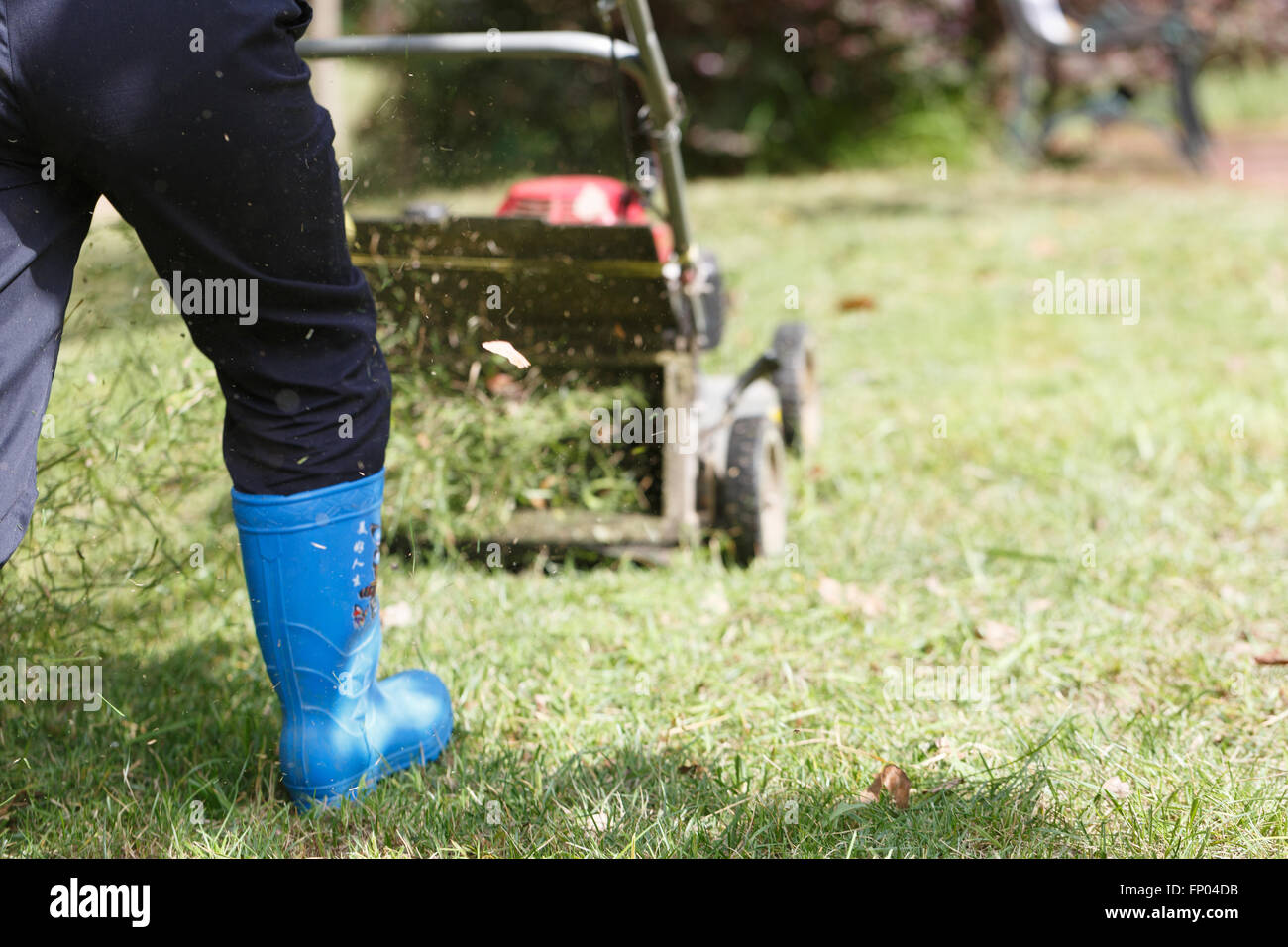 Un lavoratore utilizza un taglio di erba da tagliare il prato, Foto Stock