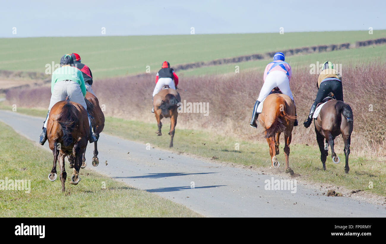 Il derby kiplingcotes i mondi più antica corsa di cavalli corrono in yorkshire ogni anno a partire dal 1519 Foto Stock