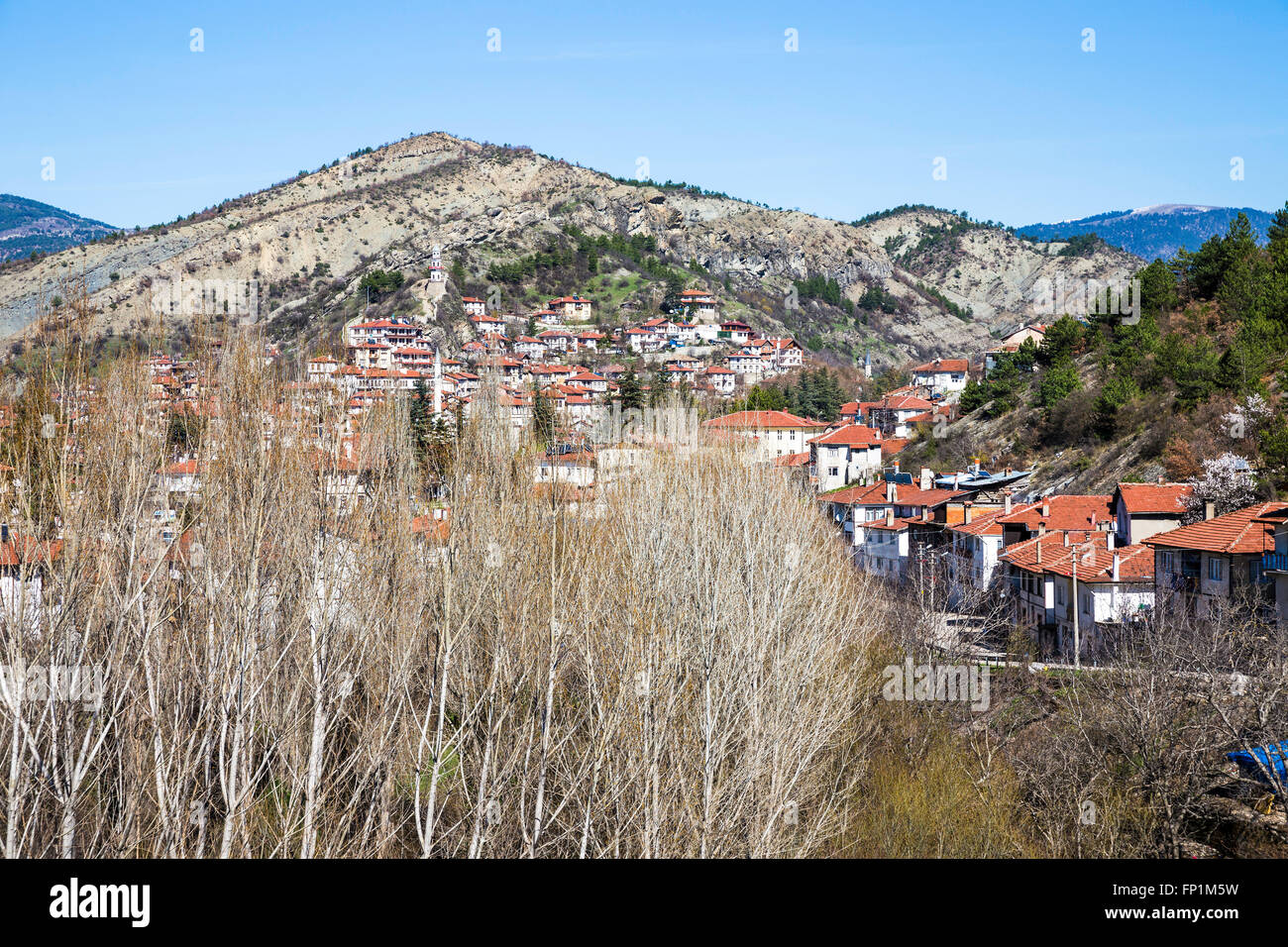 Angolo di alta vista di Goynuk città con aspen alberi in primo piano. Goynuk è una città e un distretto della provincia di Bolu. Foto Stock