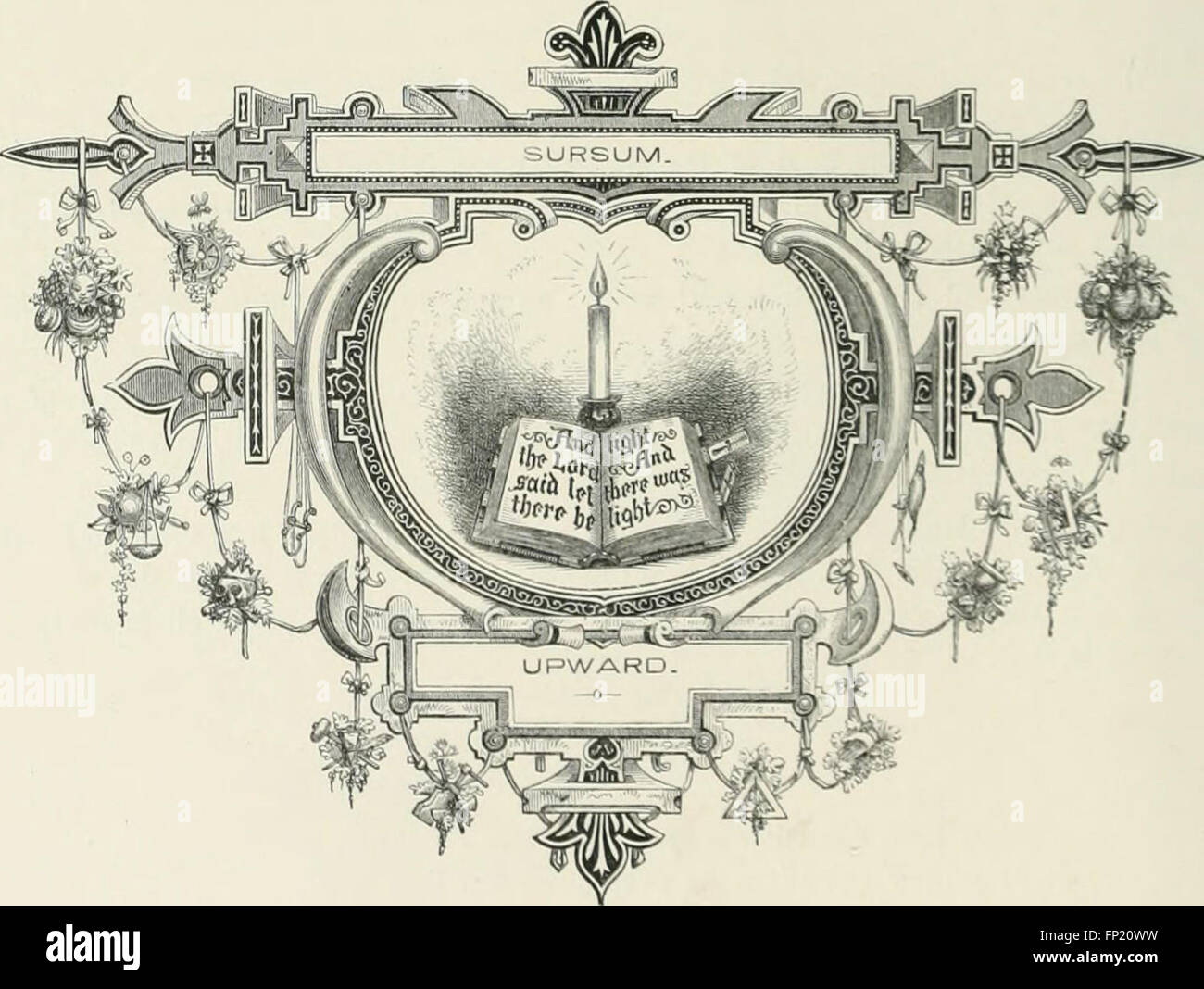 "The Book of Hardy Flowers" (il Libro dei fiori duri) (piatto 46) offre una guida ai fiori duri perenni, mostrando varie specie e fornendo istruzioni per la cura dei giardinieri e degli appassionati di piante. Foto Stock