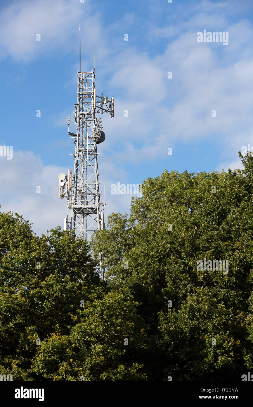 Una torre di comunicazione per TV, radio o telefono sporge al di sopra della treeline. Foto Stock