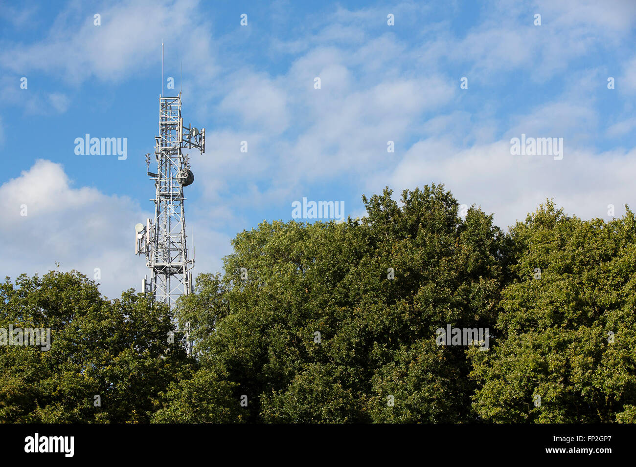 Una torre di comunicazione per TV, radio o telefono sporge al di sopra della treeline. Foto Stock