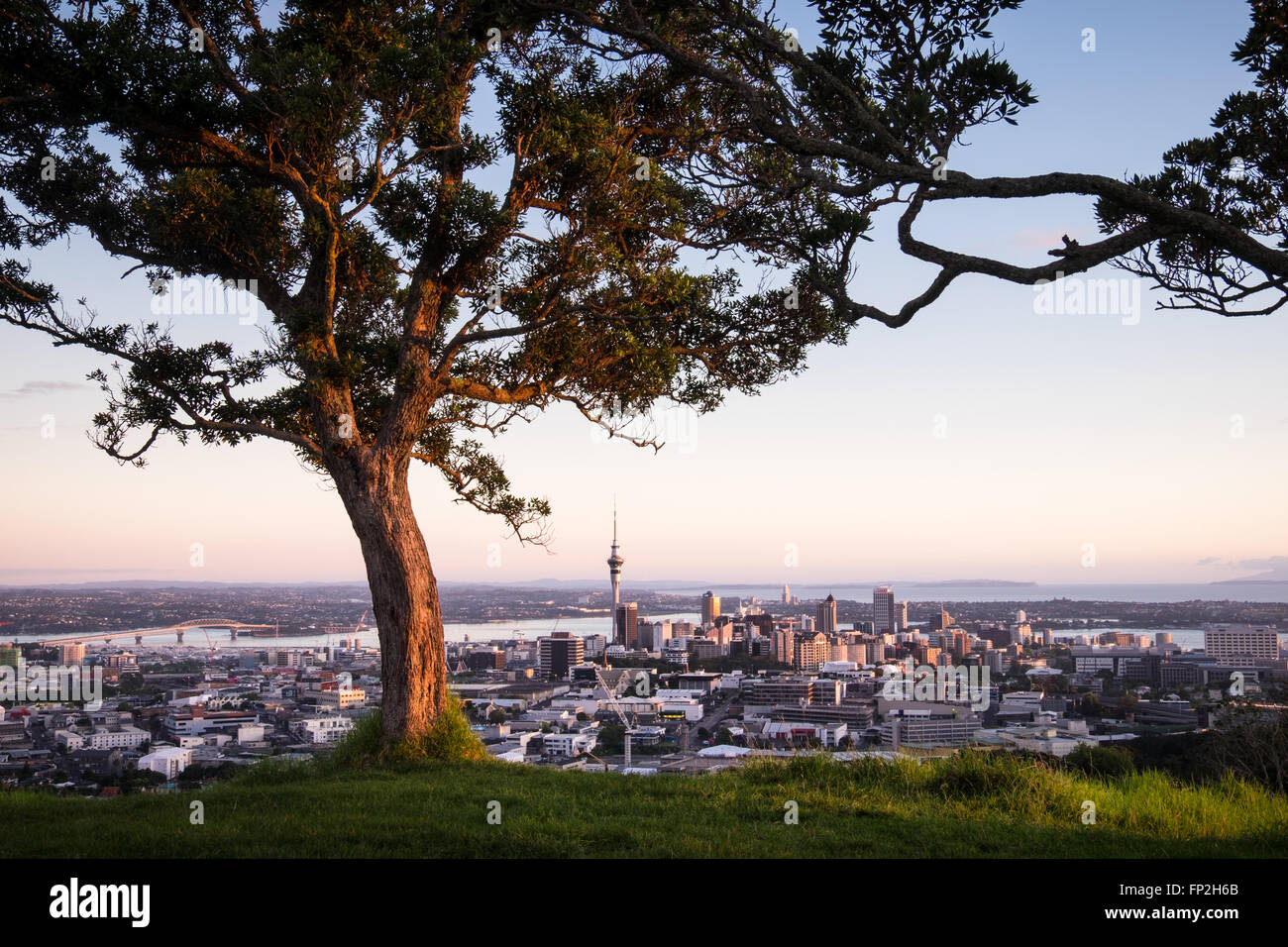 Una vista della città di Auckland da Mt. Eden. Foto Stock