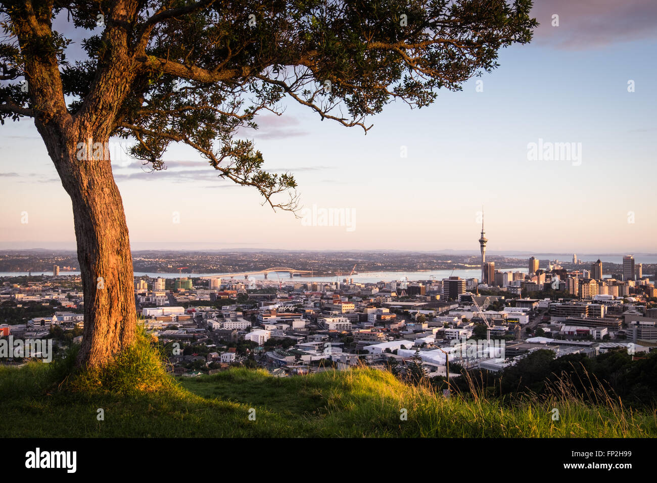 Una vista della città di Auckland da Mt. Eden. Foto Stock