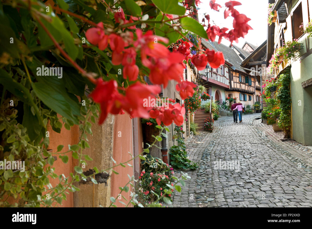 Alsazia EGUISHEIM 'rue des Remparts' coppia romantica passeggiata lungo floreale ciottoli storico Eguisheim village street sulla strada dei vini Alsace Francia Foto Stock