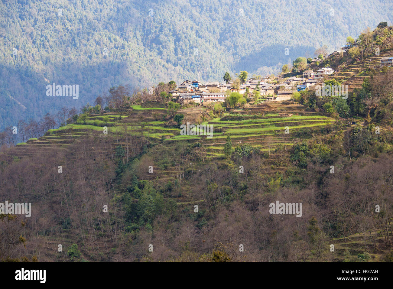 Ghandruk Village, Nepal Foto Stock