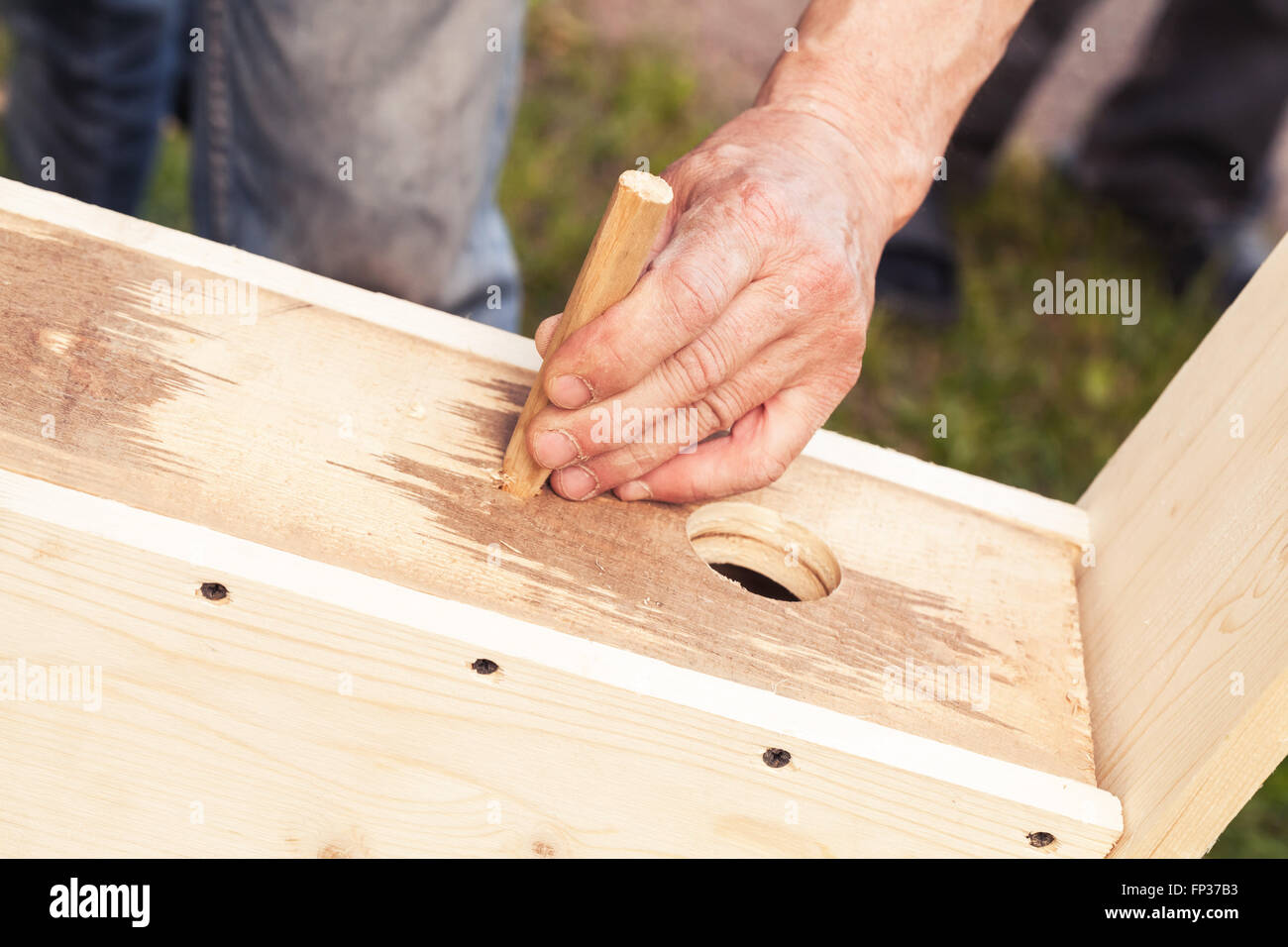 Birdhouse in legno è in costruzione, falegname aggiunge dettagli Foto Stock