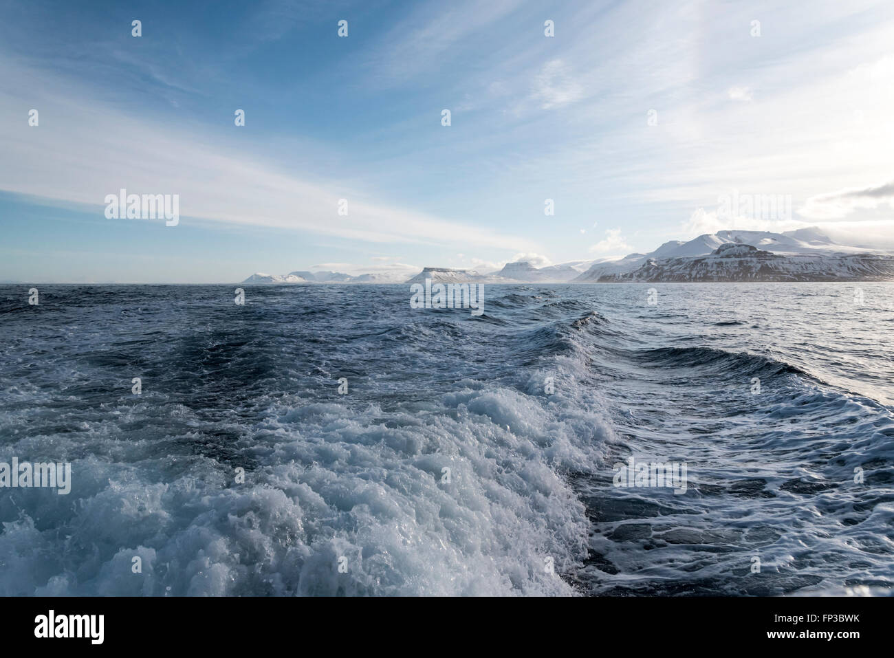 Una vista da una barca che guardando indietro a montagne della costa islandese Foto Stock
