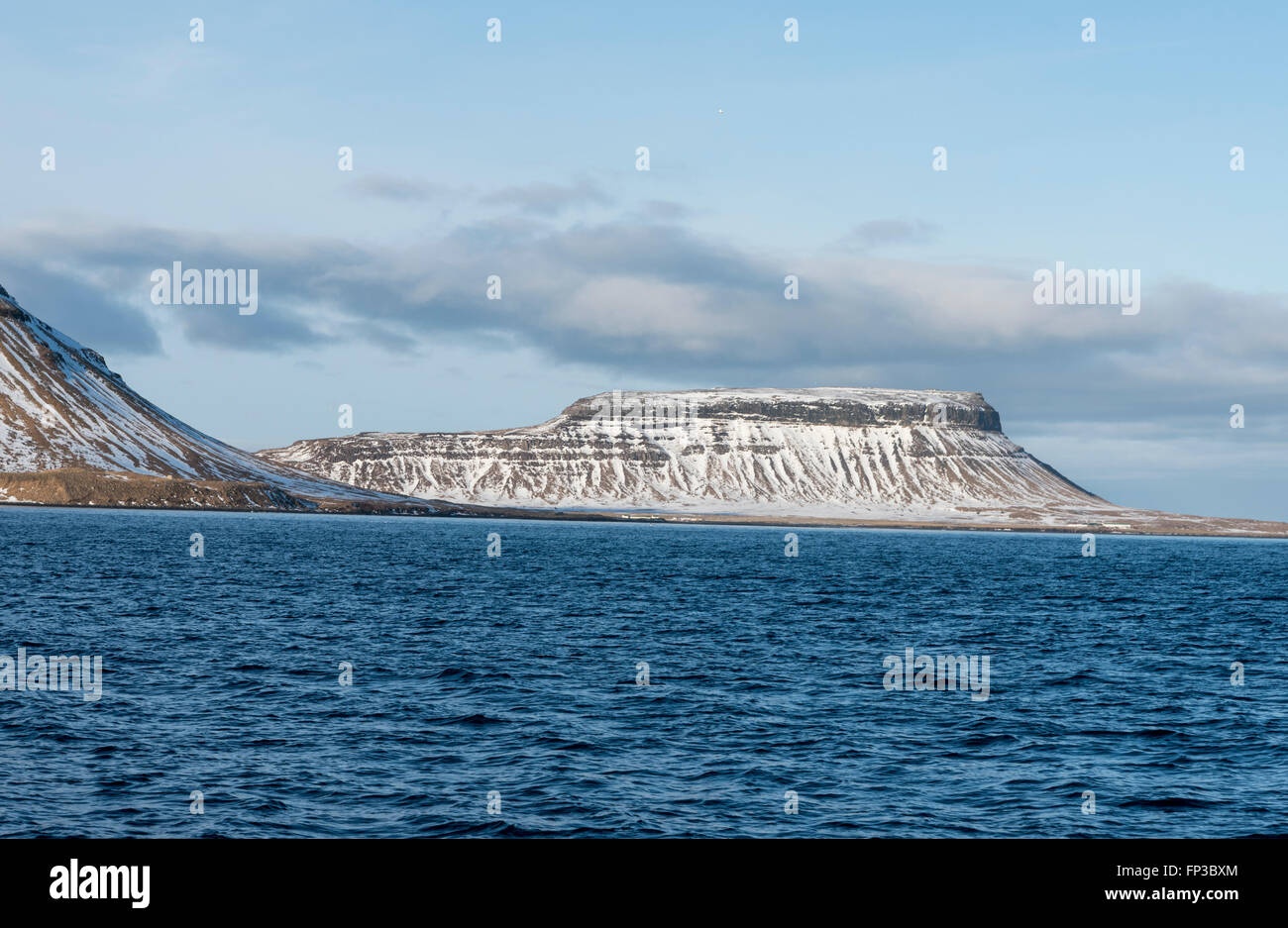 Il vulcano a scudo adiacente a Kirkjufell sulla penisola di Snaefellsness, presi da una barca Foto Stock
