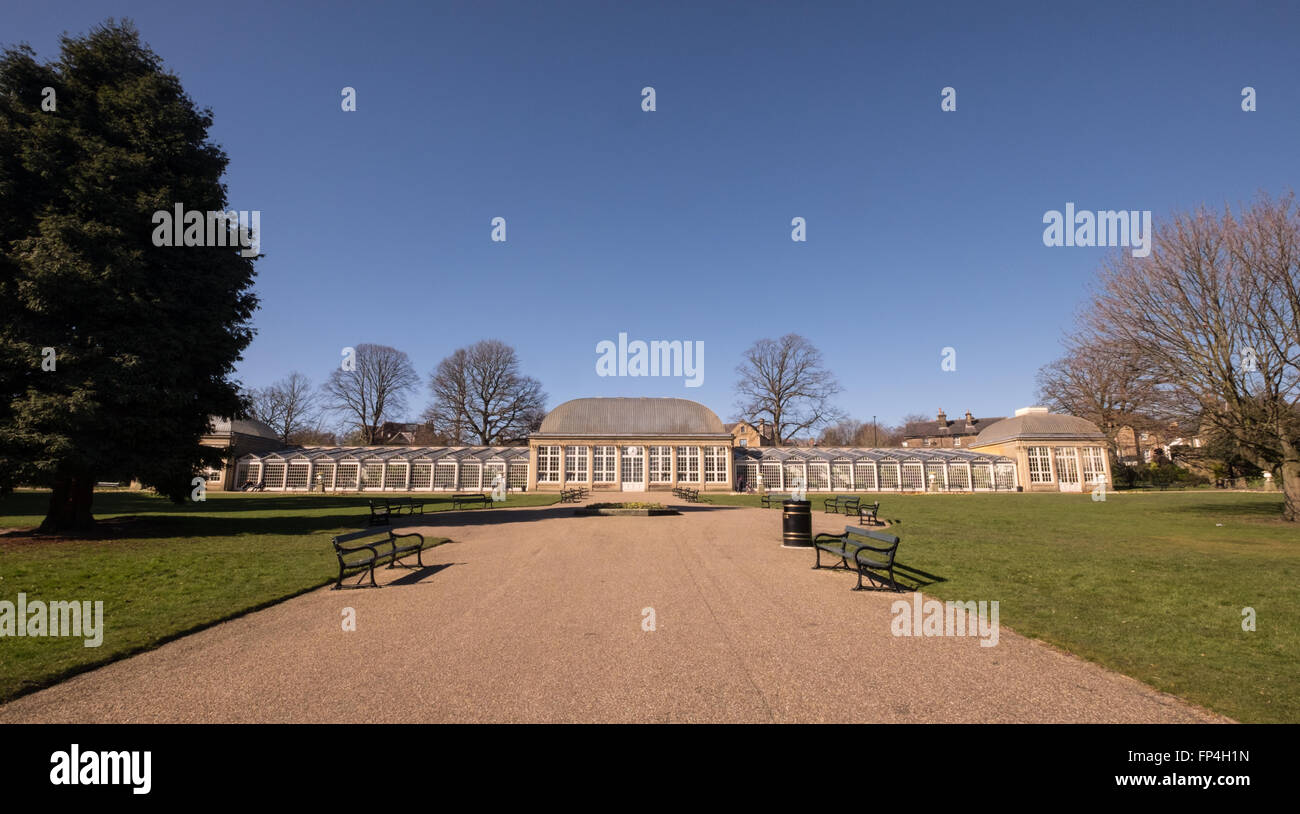 Sheffield Botanical Gardens, edwardian glasshouse Foto Stock