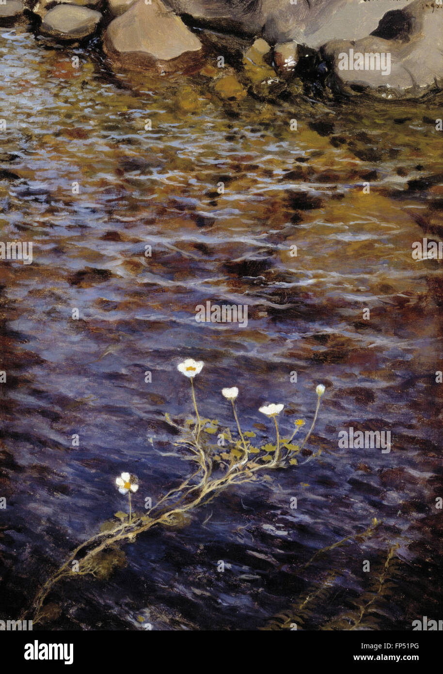 Eero Järnefelt - Acqua di stagno a stella Foto Stock