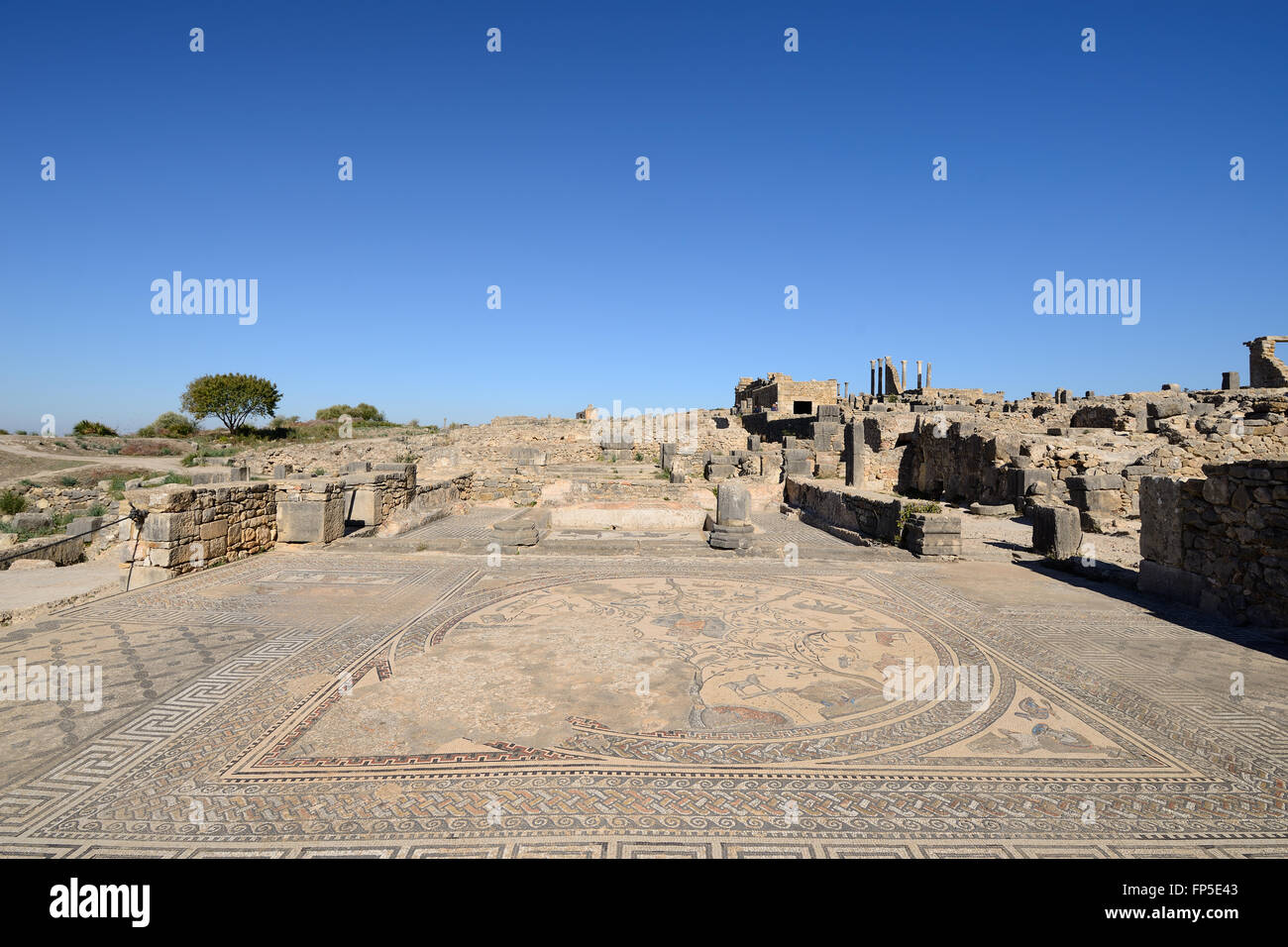 Ampio complesso di rovine della città romana Volubilis - di antica città capitale di Mauritan Foto Stock