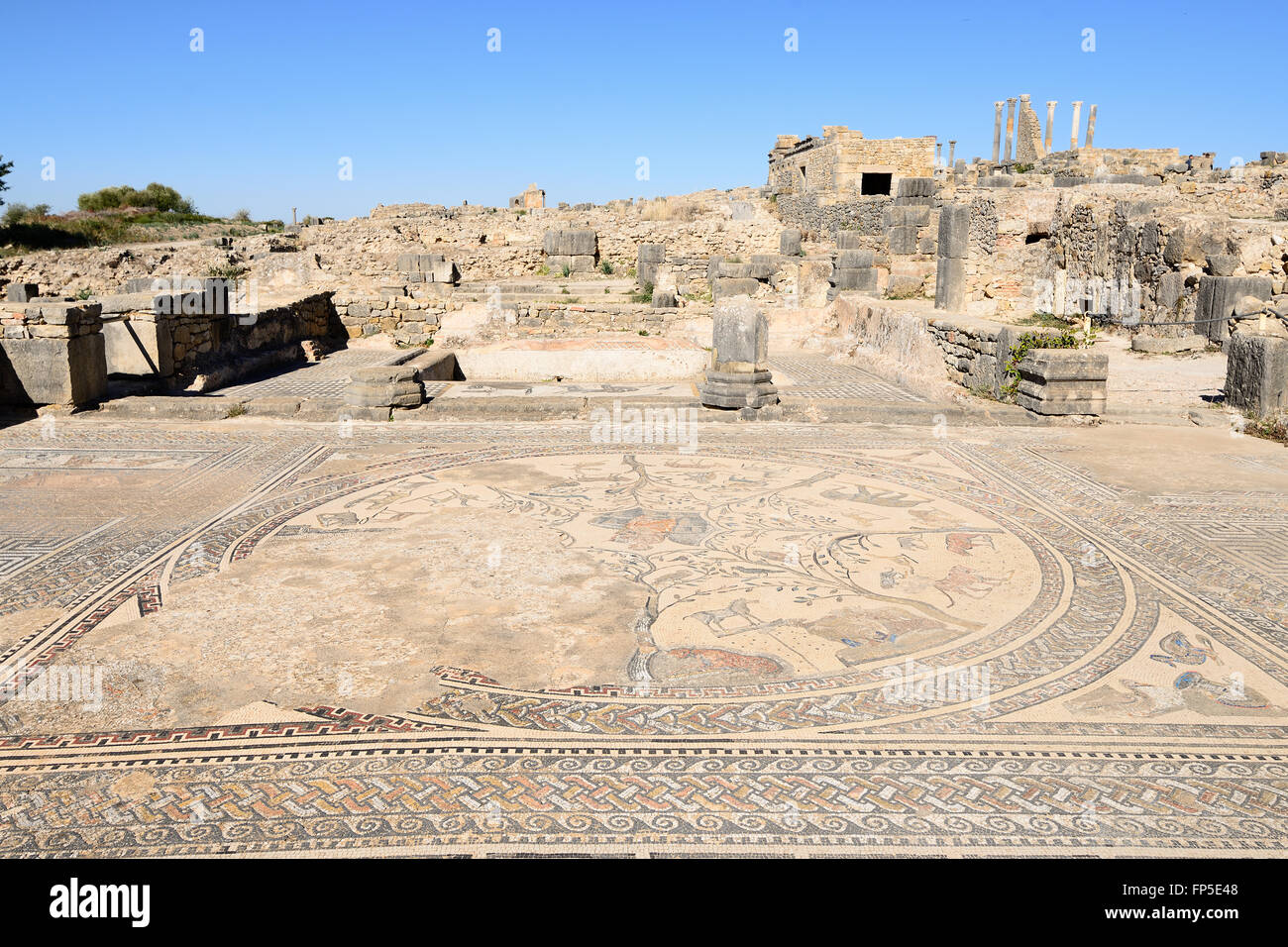 VOLUBILIS, Marocco - 29 novembre: ampio complesso di rovine della città romana Volubilis - di antica città capitale di Mauritan Foto Stock