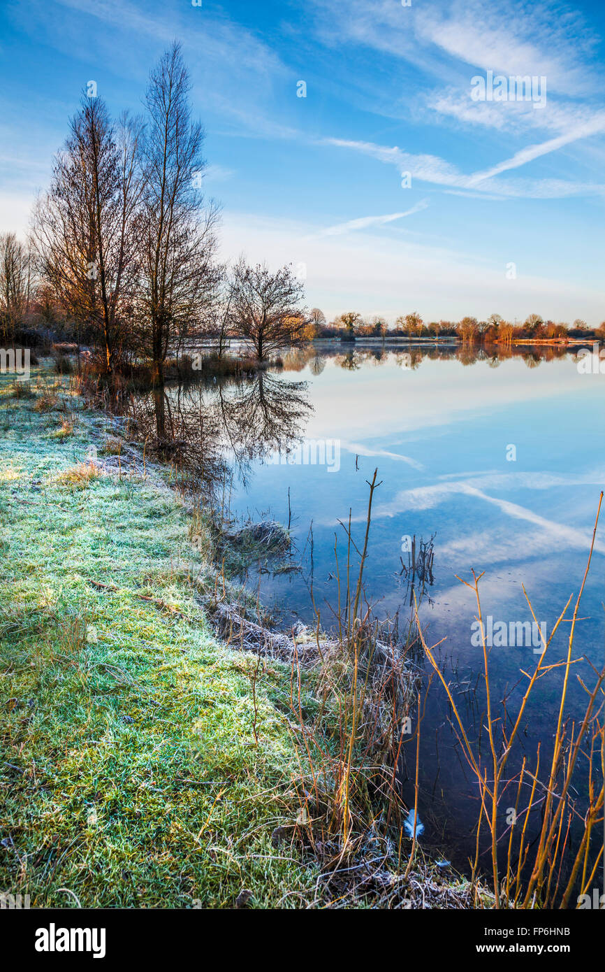 Un gelido inverno mattina su uno dei laghi a Cotswold Water Park Foto Stock