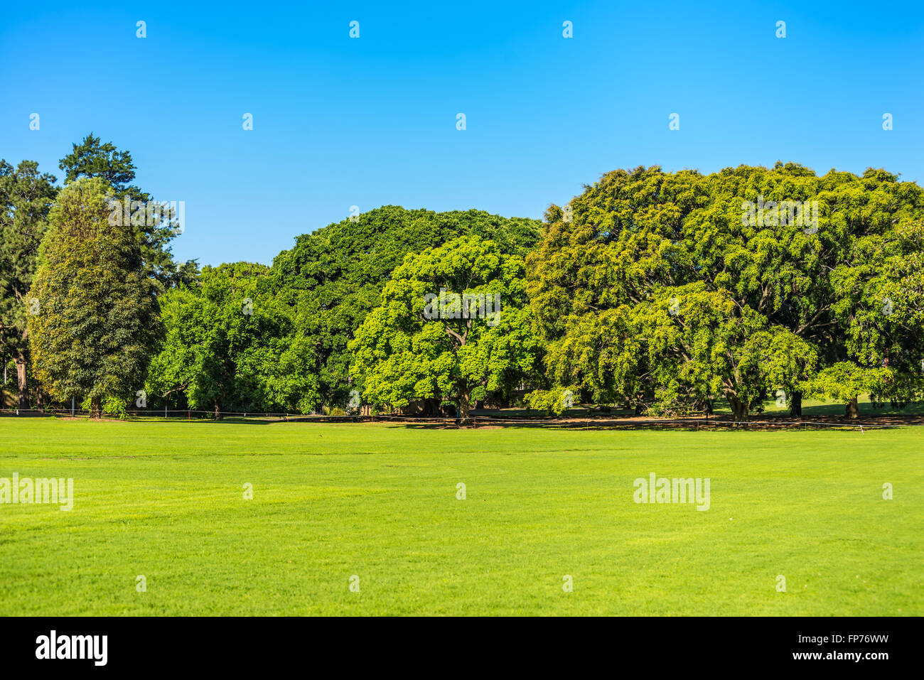 Area coltivata di erba verde, cielo blu chiaro - Sydney, Australia in una giornata di sole Foto Stock