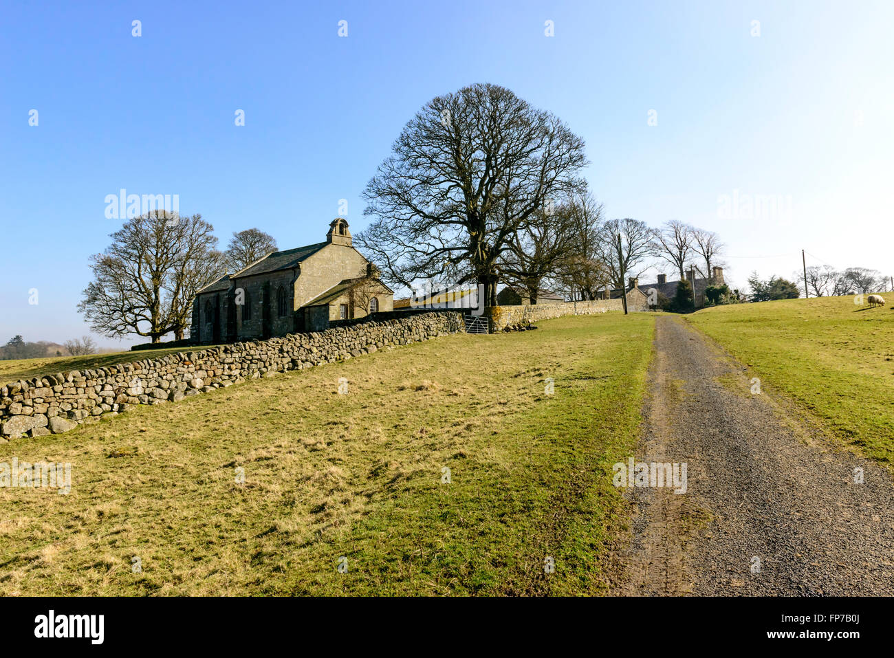 St Wilfrids Chiesa, Kirkharle, Northumberland Foto Stock