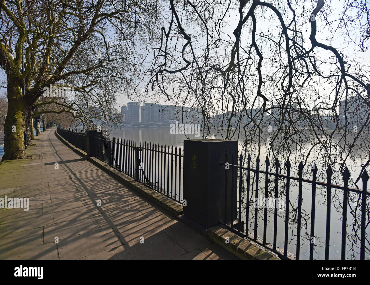 Passeggiata invernale a Londra lungo il Tamigi sul Tamigi nel percorso di Chelsea. Foto Stock