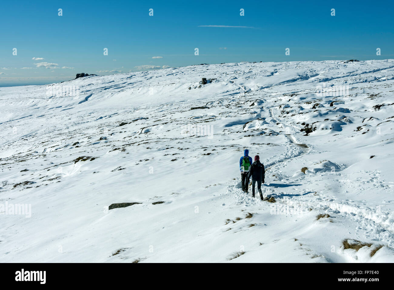 Hill walkers sul Kinder Scout altopiano, sopra Edale, Peak District, Derbyshire, England, Regno Unito Foto Stock