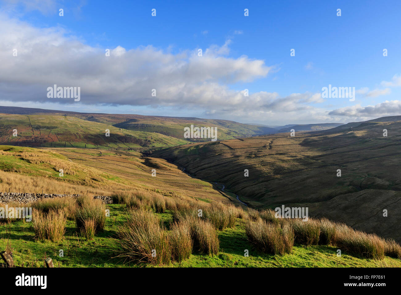 Yorkshire Dales National Park, Inghilterra Foto Stock