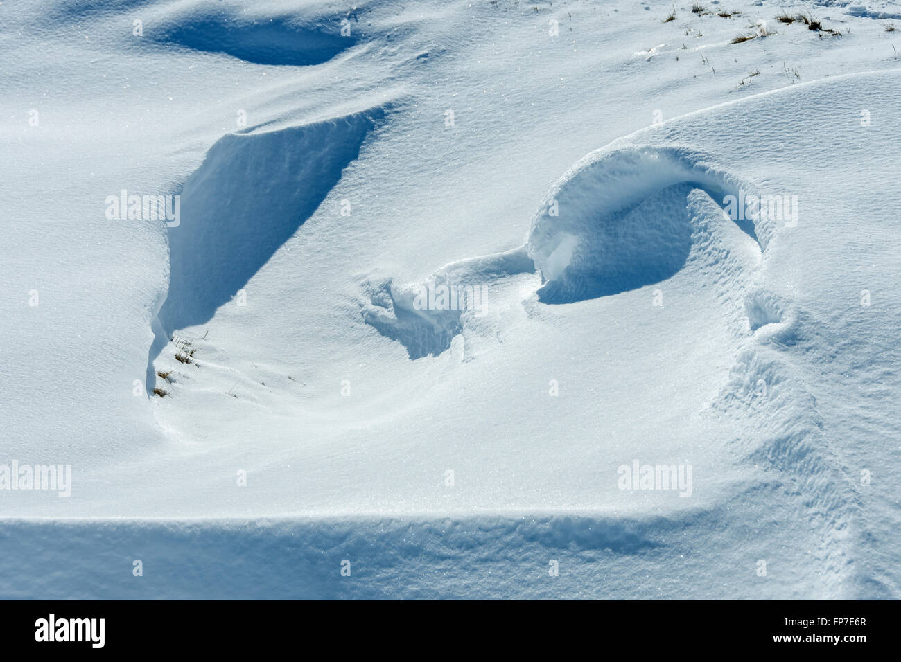 Forme in un snow drift su marrone Knoll, sopra Edale, Peak District, Derbyshire, England, Regno Unito Foto Stock